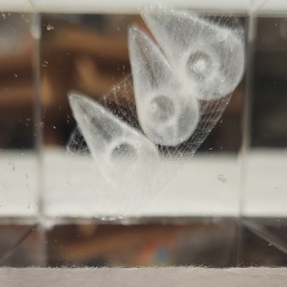 White Glass Art 3D Laser Etched OF 3 PUFFINS IN A GLASS Crystal Block - Picture 6 of 7